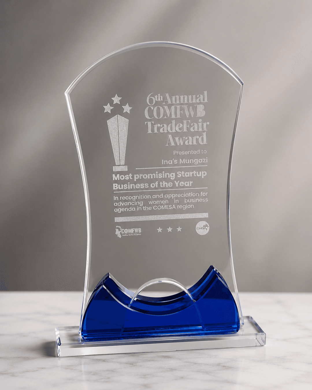 Prix Most Promising Startup Business of the Year — TipTechEnergie